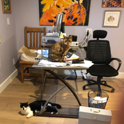 volcano@nerdculture.de