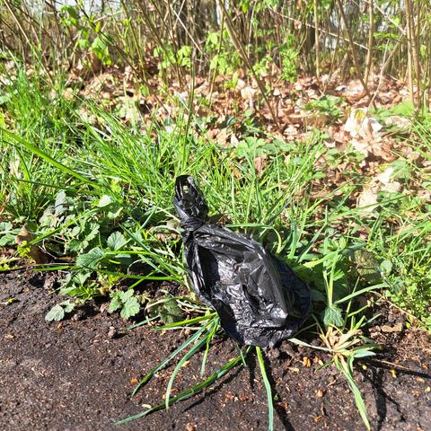 Schwarzer zugeknoteter Plastikbeutel mit Hundekacke am Wegrand 