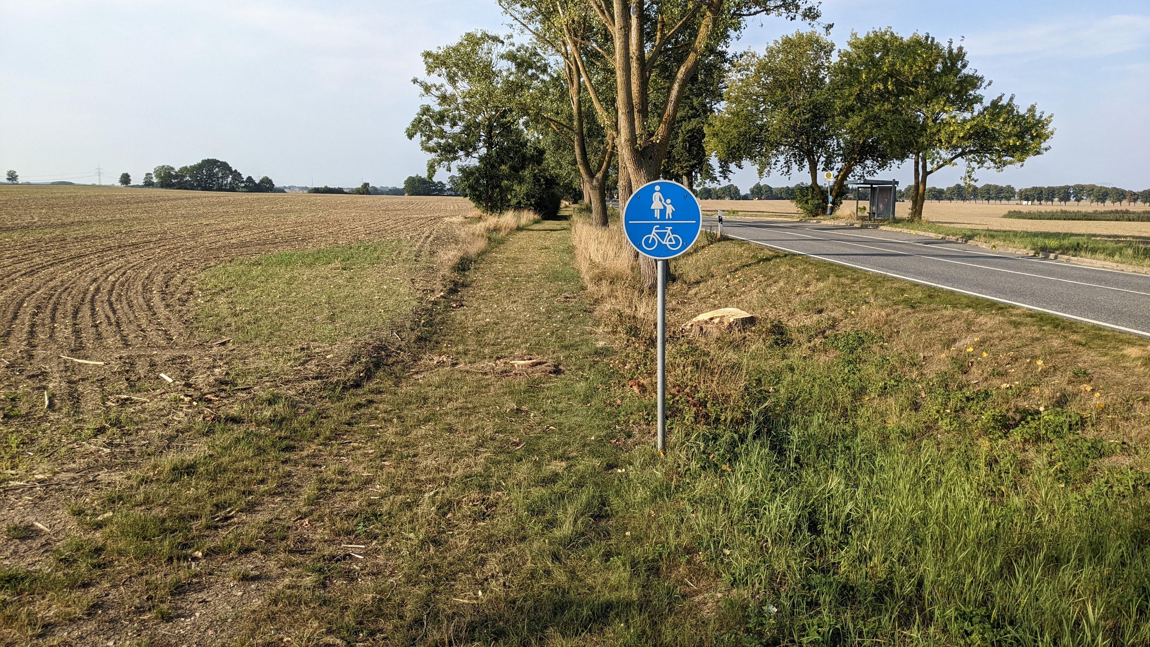 Wiese parallel zur Straße als Benutzungspflicht für Radfahrer und Fußgänger.