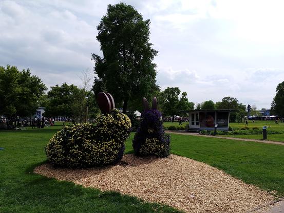 Blumenhasen im ega-Park