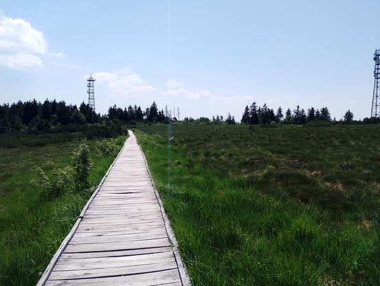 Holzpfad über das Hochmoor auf der Hornisgrinde