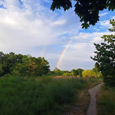 Regenbogen über dem Tempelhofer Feld