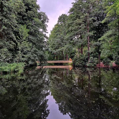 Gelbe Hängebrücke im grünen Tiergarten