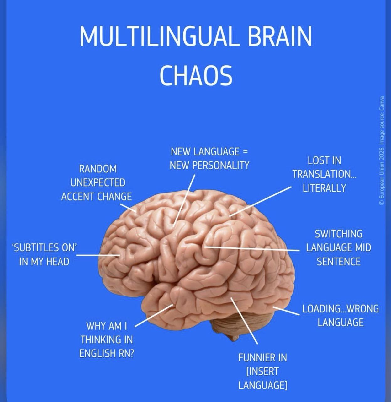 A brain with different parts saying MULTILINGUAL BRAIN CHAOS NEW LANGUAGE = NEW PERSONALITY RANDOM UNEXPECTED ACCENT CHANGE LOST IN TRANSLATION... LITERALLY 'SUBTITLES ON' IN MY HEAD SWITCHING LANGUAGE MID SENTENCE LOADING... WRONG LANGUAGE WHY AM I THINKING IN ENGLISH RN? FUNNIER IN [INSERT LANGUAGE]