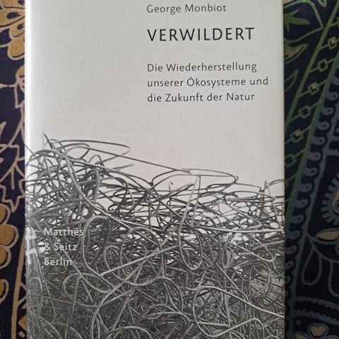 Buchcover von "Verwildert"