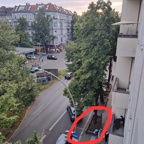 Gleiche Baumart am rechten Straßenrand nur leichten Trockenschäden. Die Wurzeln sind vom Spritzwasser der Straße durch eine Trogeinfassung geschützt.