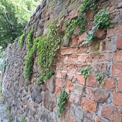 Alte berliner Stadtmauer